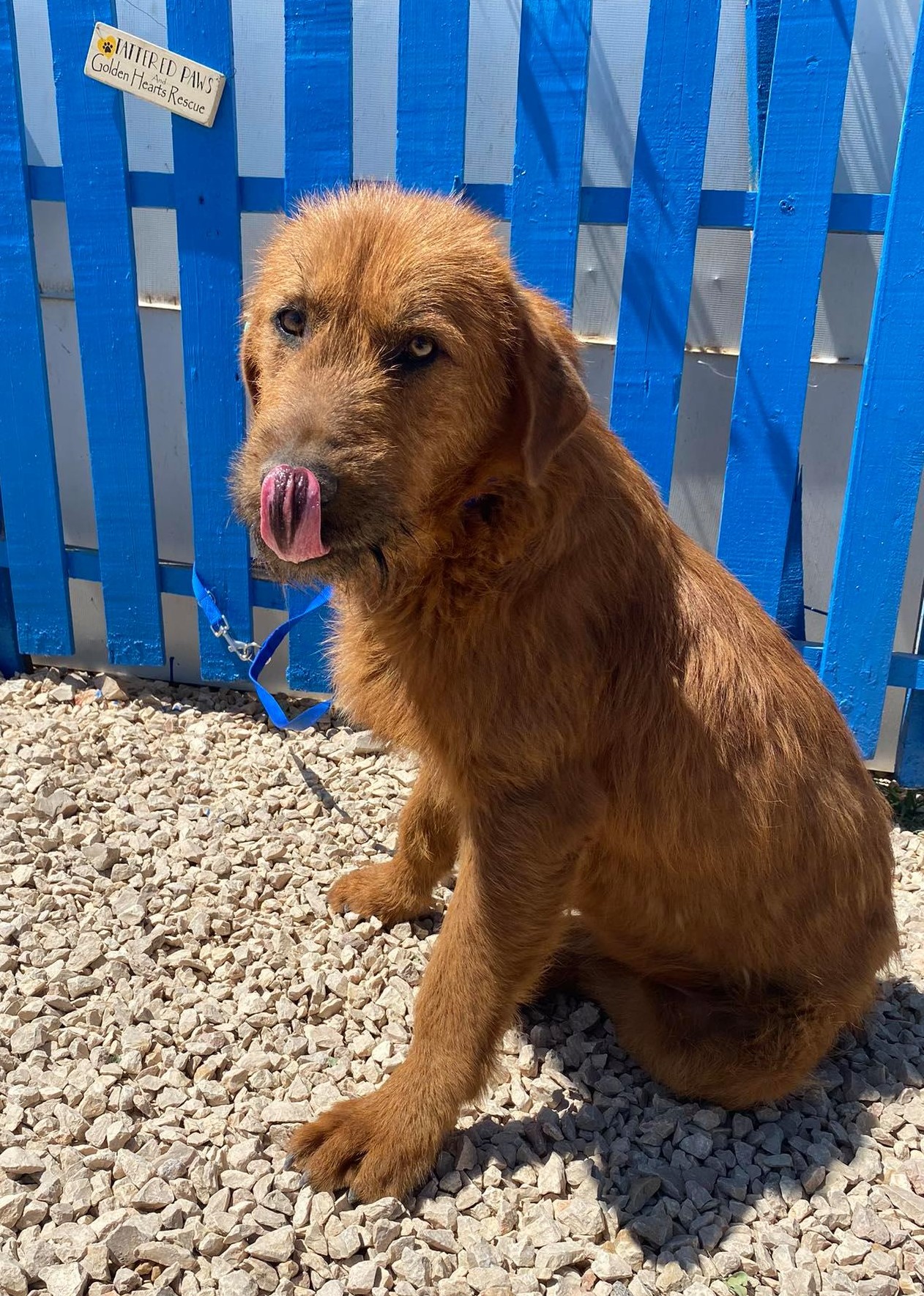 Roland (fka Emerson)